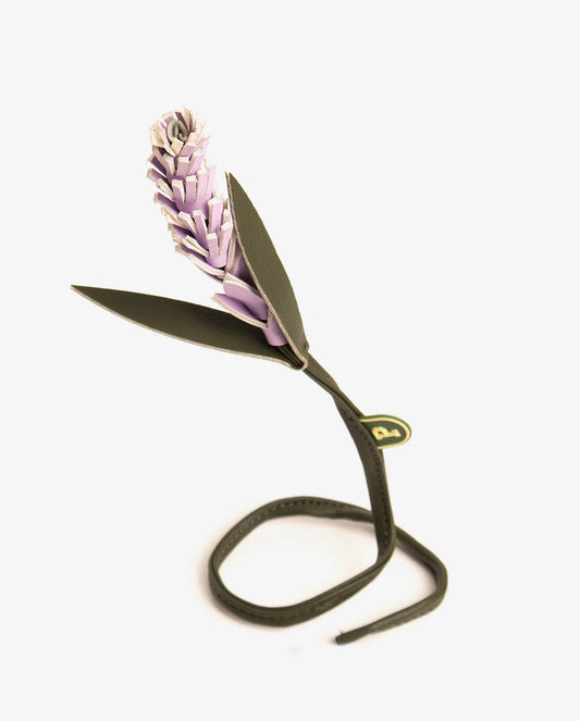 Parchita Charm Lavandula