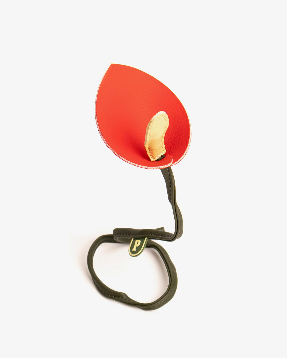 Parchita Charm Anthurium